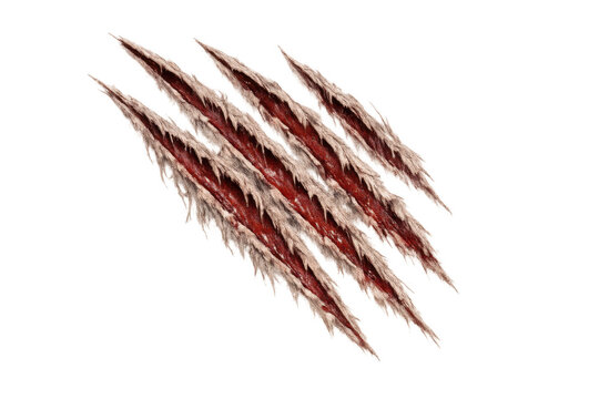 Bloody claw marks scratching tearing skin with exposed flesh from a monster attack, transparent background