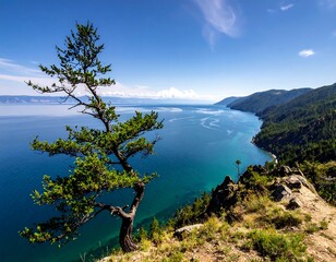 Lake Baikals Scenic Vista - A Trees Perspective on Tranquility.