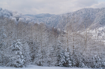 Obraz premium Winter landscape in the mountains
