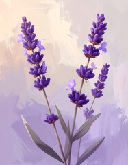 Lavender Blooms - A Serene Floral Illustration in Purple Hues.