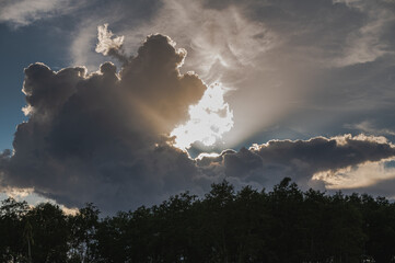 the sun behind the street cloud above the trees