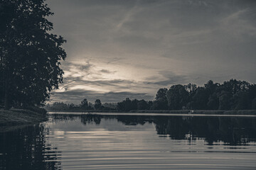sunset reflection on the water around the trees