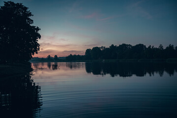 sunset reflection on the water around the trees