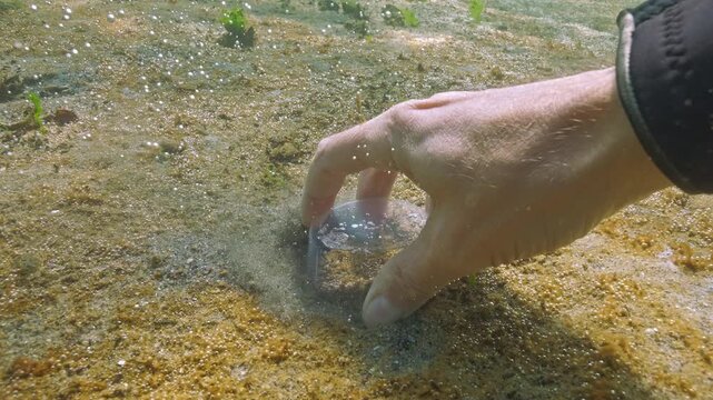 POV shot, hydrobiologist's hands taking samples from sandy bottom covered in unicellular algae colony synthesizing gas. Benthic sampling of microalgae with gas bubbles on seabed, first person view
