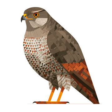 Goshawk, 2D flat vector illustration in icon style, isolated on a white background