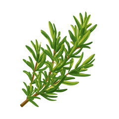 Fototapeta premium Flat-design 2D vector artwork of a Rosemary, styled as an icon and isolated against white background