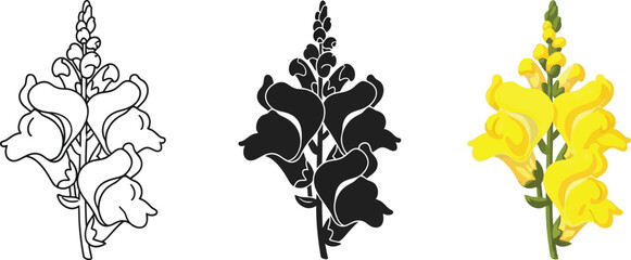 Collection of snapdragon flower illustrations including line art silhouette and color vector perfect for botanical designs and nature themes © Ahmad