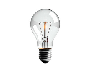 Clear Light Bulb with Black Base.