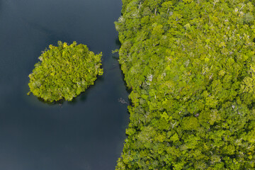 A tiny island, covered by rainforest, is found in a marine lake in Raja Ampat, Indonesia.