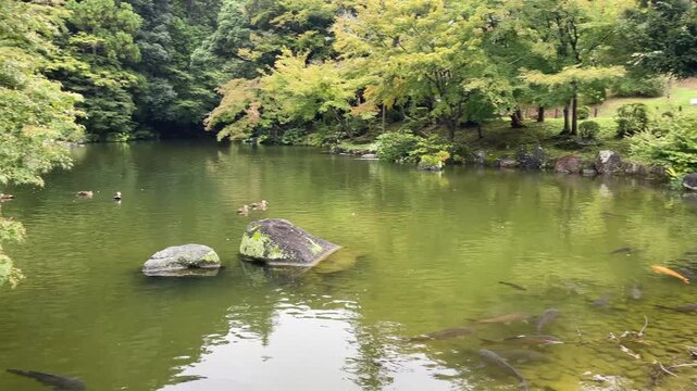 Naritasan Shinsho-ji, Buddhist Temple Grounds Narita, Japan