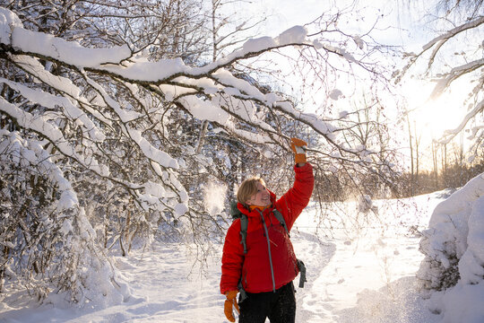 Blond Woman standing under a pine tree in a sunny winter forest. She pulls on a branch and snow falls on top of her