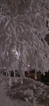 In Ventspils in Lettland ist es an einem sp&auml;ten Winterabend kalt und frostig, ein schneewei&szlig;es, bereiftes Baumwerk sieht sch&ouml;n aus.