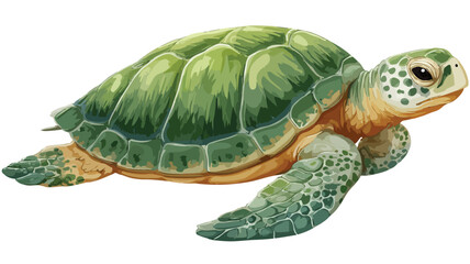 Adorable Cute Green Turtle Cartoon Vector with Outline Isolated on White Background