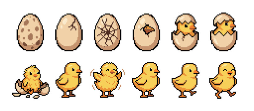 Pixel art animation sprite sheet of a chick hatching from an egg, showing the life cycle from a whole egg to a walking baby bird in a retro 8-bit video game style illustration set