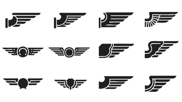 Set of twelve military aviation wing insignia symbols in vector format