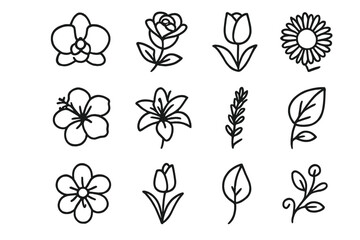Floral Icon Lineup. Floral Aura set in outline vector style : orchid, rose, tulip, sunflower, lily, daisy, hibiscus, lavender, leaf, vine, blossom, bud