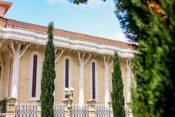 The photograph shows a coniferous evergreen larch plant, which is located in a city park near a light beige building.