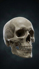 Obraz premium Human skeleton 3D medical visualization - Human skull anatomy render isolated on dark background