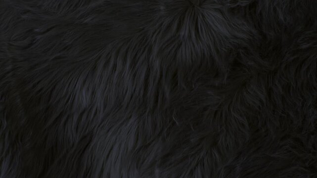 Waving Real Black Animal Fur Texture Background in Slow Motion, 1000fps.