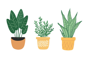 Obraz premium Colorful Indoor Potted Plant Illustrations