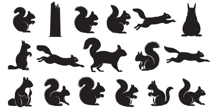 Mega collection of squirrel silhouettes in various poses, set of black rodent icons including running, jumping, sitting, and eating squirrels, wild animal elements for nature and forest design.