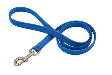 Blue nylon dog leash with metal clip