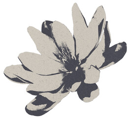 vintage grunge flower illustration featuring heavy photocopy noise texture and high contrast grain in beige and black isolated on transparent background for retro zine design