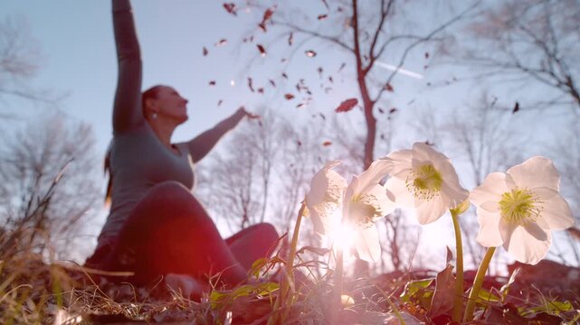 LENS FLARE, SLOW MOTION, DOF: Smiling young woman sits in a forest clearing throwing dry leaves into the air and celebrating arrival of spring. Authentic joy, framed by delicate white hellebores.