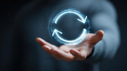 Holographic Mindset for Performance Improvement with Discipline in Professional Work Environment