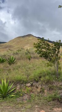 mountain landscape with trees and clouds