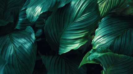 beautiful green leaves of some plants