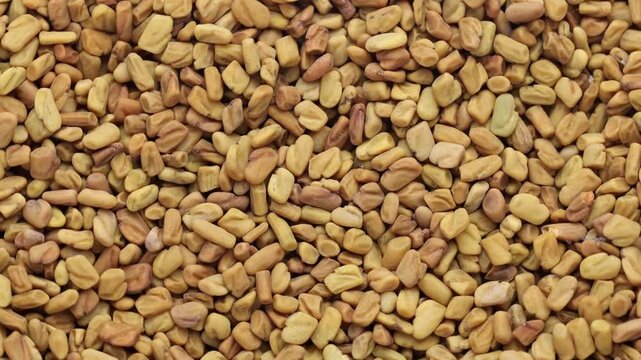 Raw organic fenugreek seeds - Methi Dana