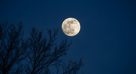Full moon shining brightly over bare branches at night, Worm moon  