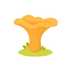 Mushroom illustration of bright chanterelle fungus growing on grass, chanterelle mushroom graphic for gourmet food concepts, autumn foraging visuals, menu design © evgenia_lo