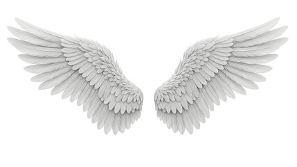 Obraz premium Pair of White Angel Wings