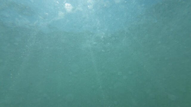 Ocean Underwater Sunlight Slow Motion x4 Filmed at 120fps Green