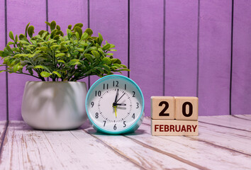 Minimalist white wooden block perpetual calendar displaying FEBRUARY 20
