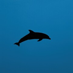 Fototapeta premium Dolphin Silhouette on Blue Background - Aquatic Mammal Image