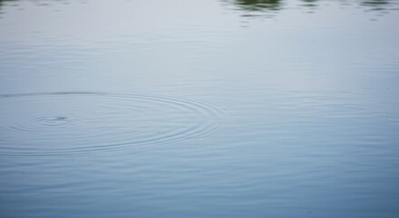 Serene Water Ripples A Calming Image of Still Water