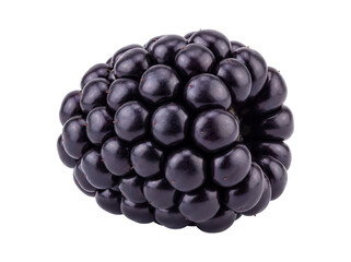 Single ripe blackberry isolated background, macro detail of its drupelets
