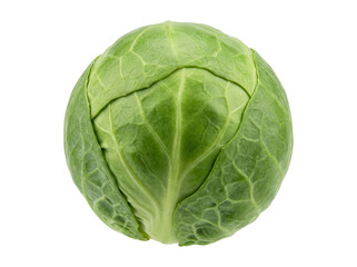 Fototapeta premium Single fresh Brussels sprout isolated on a black background, showcasing its vibrant green leaves and textured surface