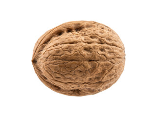 Fototapeta premium Single whole walnut with textured brown shell isolated background