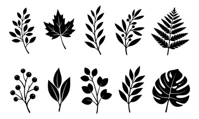 Fototapeta premium Hand drawn botanical elements set featuring various leaves, branches, and berries for nature-themed design