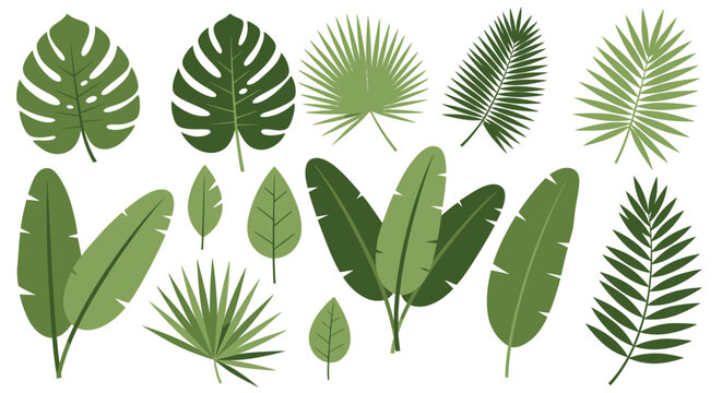 Collection of various green tropical leaves and plants in different shapes and sizes arranged in a visually appealing composition