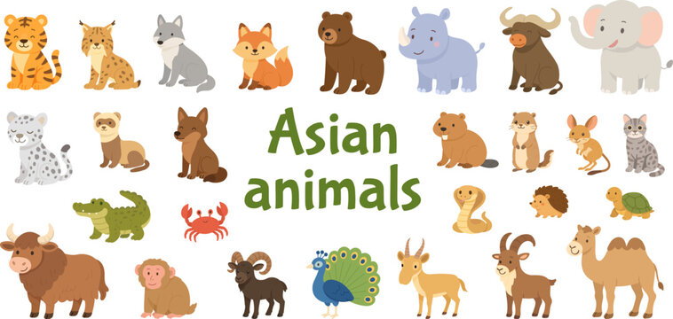 Asian animals illustration set with cute cartoon wildlife characters animals collection for kids education, nursery design, stickers posters, learning