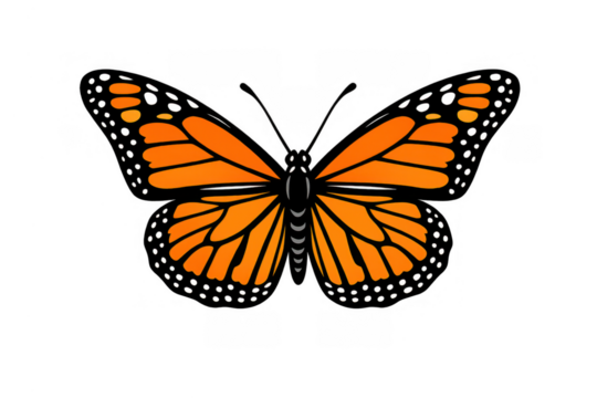 Monarch butterfly vector drawing wings spread, illustration symbolizing nature, freedom, and transformation on a transparent background - Powered by Adobe