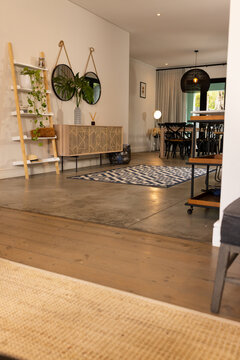 Geometric sideboard with vase and reed diffuser, flanked by ladder shelf holding plants in entry