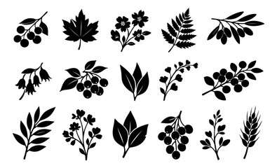 Fototapeta premium Minimalist silhouette nature icons set featuring leaves, berries, flowers, and a wheat stalk for organic branding and decoration