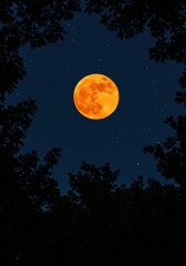 Fototapeta premium A stunning, luminous orange full moon dominates a vast, dark blue night sky filled with stars, framed by silhouetted tree foliage, contrast, luminous, leaves