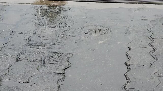 Raindrops hitting cracked asphalt road, puddle ripple close footage. Wet damaged pavement with rain rings, urban infrastructure video. Storm drizzle on broken street surface, road repair concept clip.